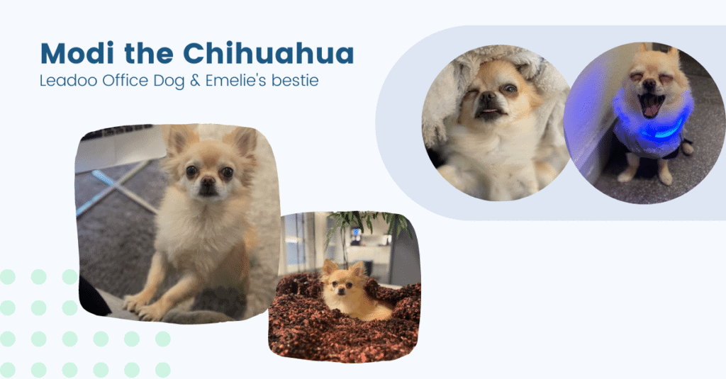 Lauren LAAL images 1 Leadoo Life as a Leadooer: Emelie Blomstrand